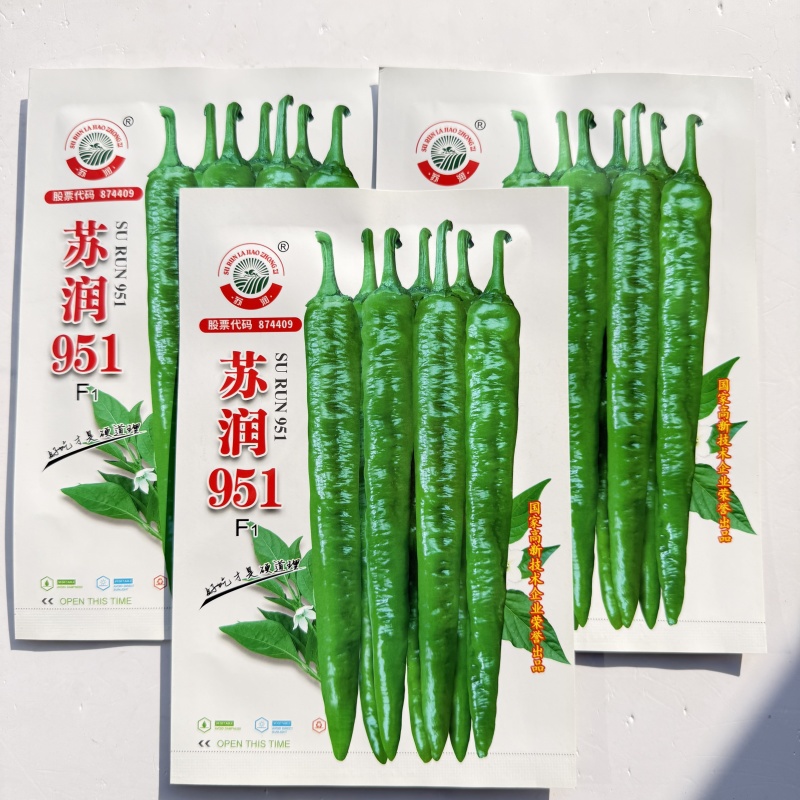 苏润953辣椒种子早熟顺直春秋播高产中辣蔬菜辣椒籽基地