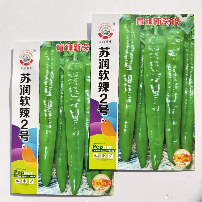 苏润953辣椒种子早熟顺直春秋播高产中辣蔬菜辣椒籽基地