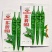 苏润953辣椒种子早熟顺直春秋播高产中辣蔬菜辣椒籽基地
