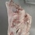 冷冻去耳头皮猪头肉无耳生头皮去骨猪脸肉无骨猪头生扒猪头肉