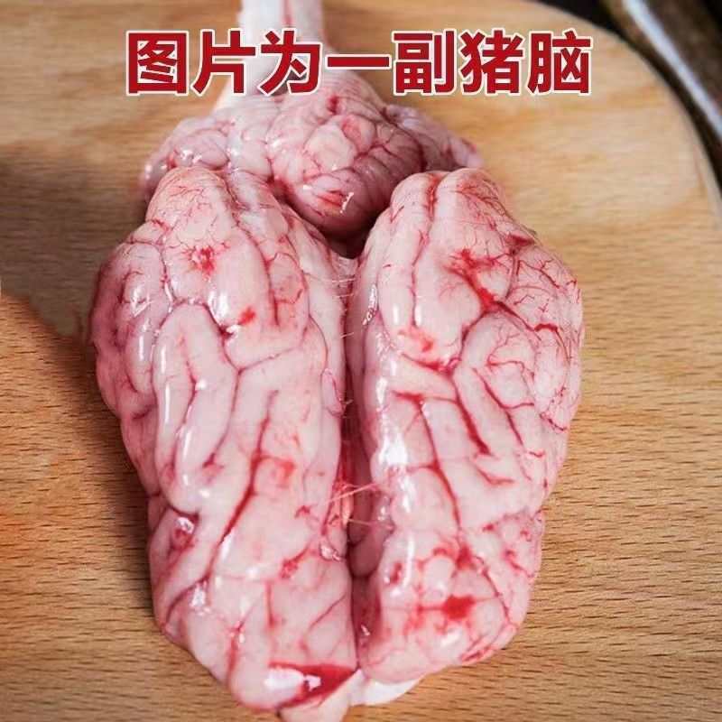 新鲜猪脑花新鲜96对火锅烧烤食材饭店