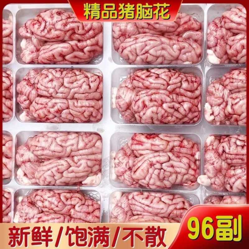 新鲜猪脑花新鲜96对火锅烧烤食材饭店