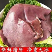 猪肝冷冻新鲜速冻批发农家现杀散养内脏猪下水心