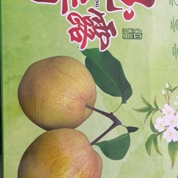 梨