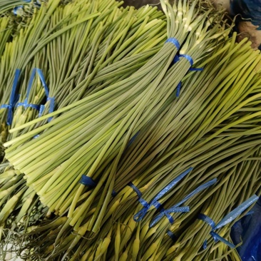 蒜苔白帽