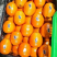 【热卖】纽荷尔脐橙湖北橙子货源充足保质保量