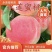 果园直发桃树苗永莲蜜桃1号2号8号全品类嫁接成品苗