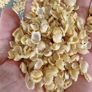 精品黄豆皮碎黄豆皮大量供应可视频看货欢迎来电采购洽谈