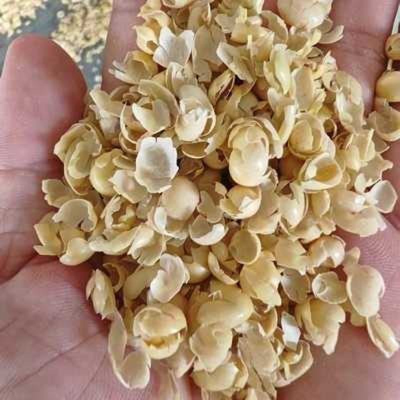精品黄豆皮碎黄豆皮大量供应可视频看货欢迎来电采购洽谈