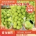 果园直发葡萄苗阳光玫瑰晴王维多利亚包品种成活率