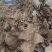 山茶麸