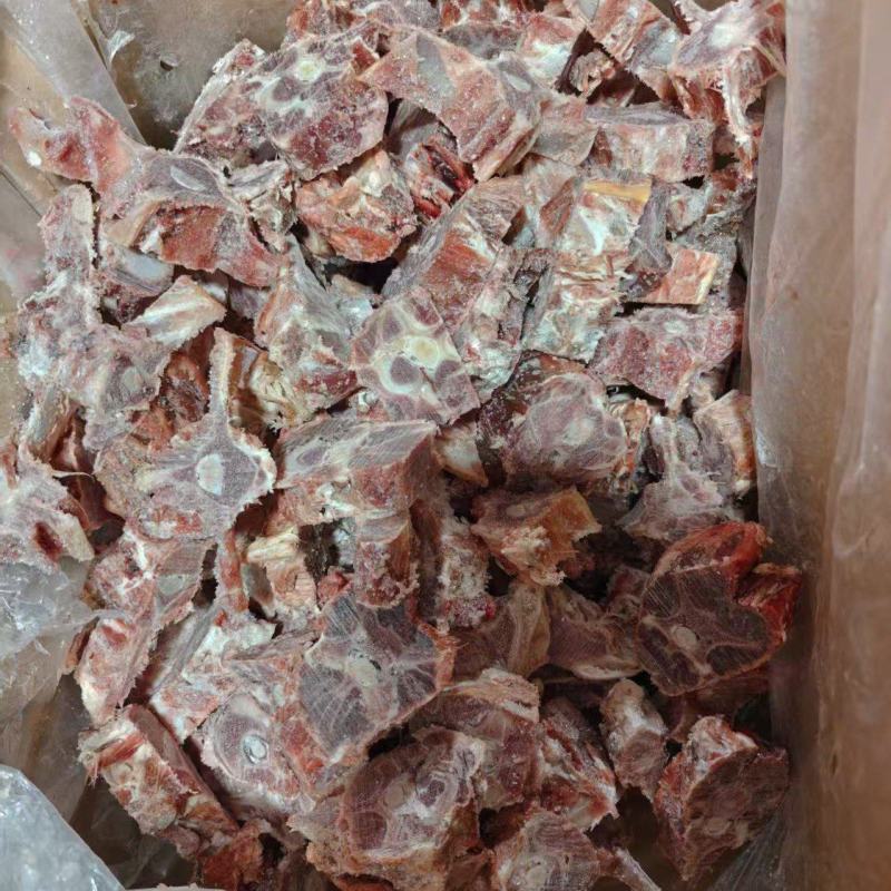 多肉羊蝎子