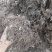 大山深处自然发酵的腐殖土