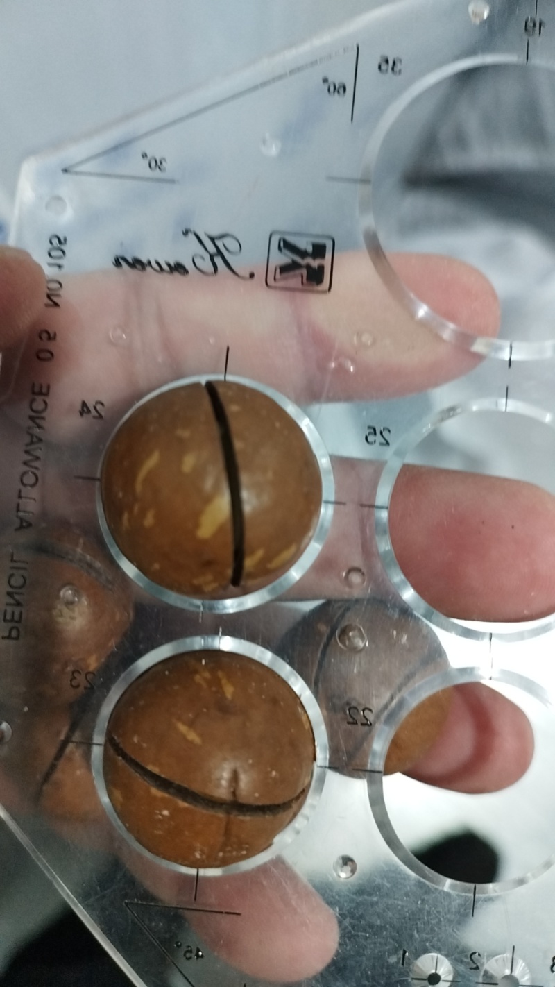 夏威夷果批发产地工厂直供批发