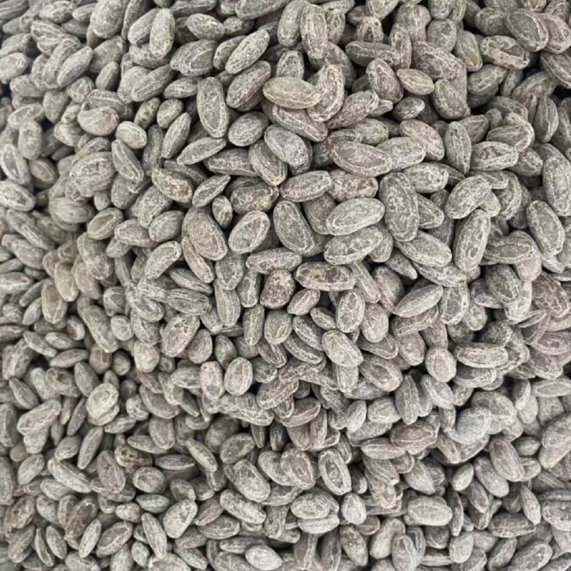 熟吊瓜子奶味