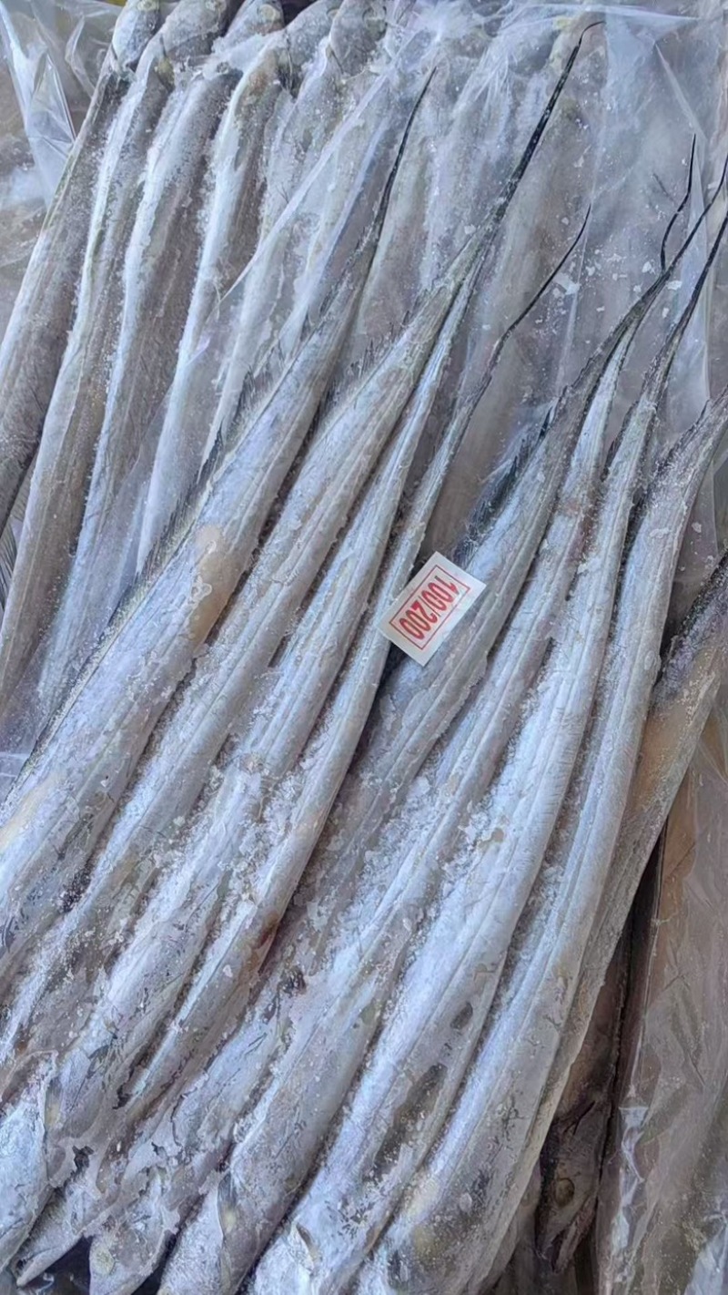 带鱼