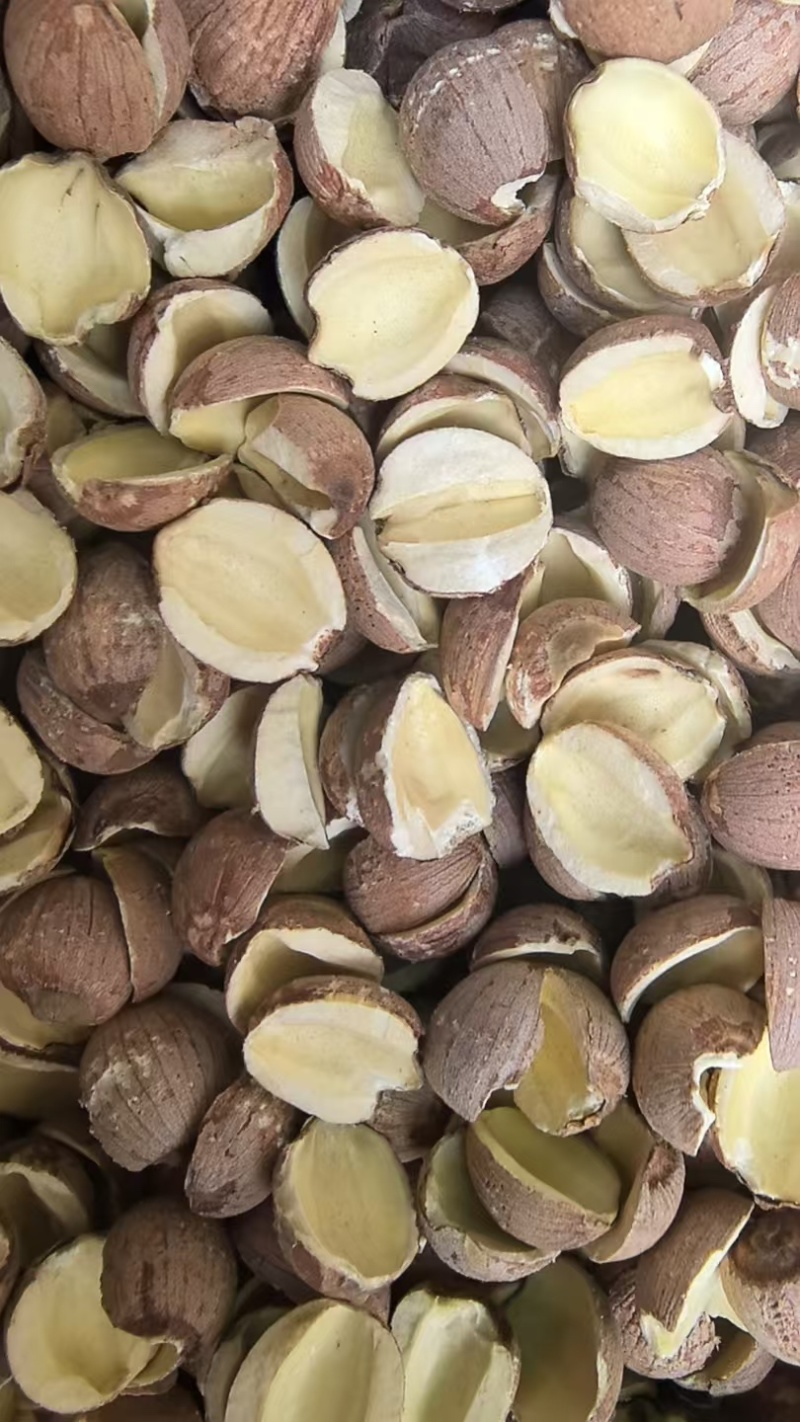 湖南湘潭红边莲当年新货保质保量广东荔湾区大量现货发全国