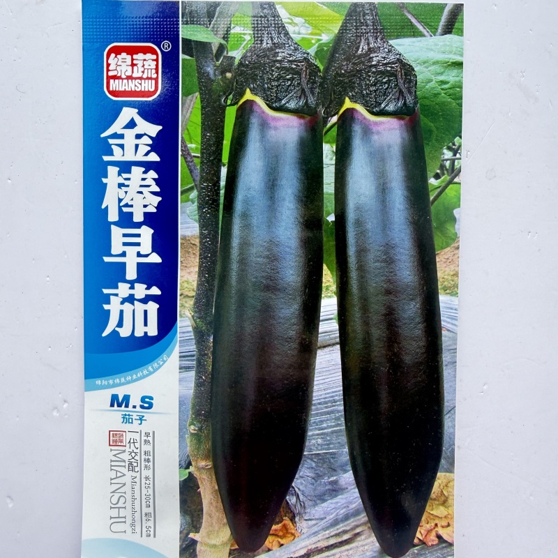 裕农三号紫皮长茄种子高产抗病春秋播种肉厚鲜嫩籽少大田种植
