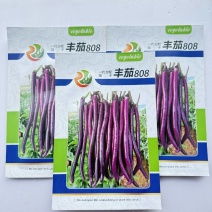 丰茄808紫红长线茄种子细嫩皮薄顺直整齐高产春秋播种长茄