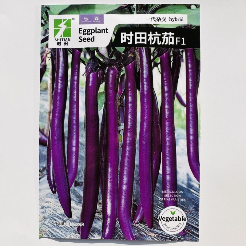 丰茄808紫红长线茄种子细嫩皮薄顺直整齐高产春秋播种长茄