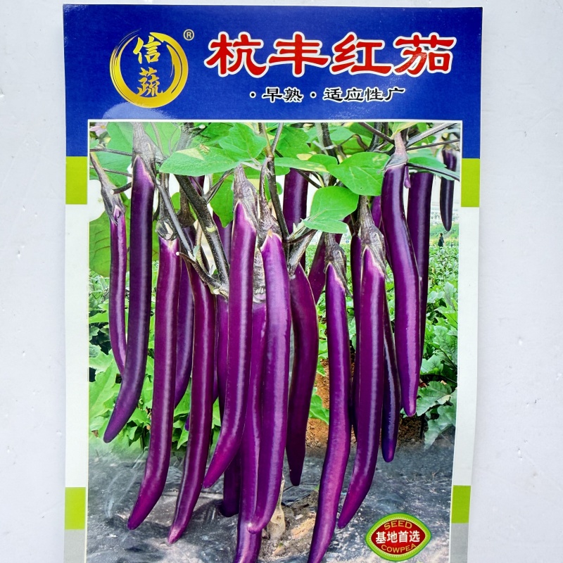 丰茄808紫红长线茄种子细嫩皮薄顺直整齐高产春秋播种长茄
