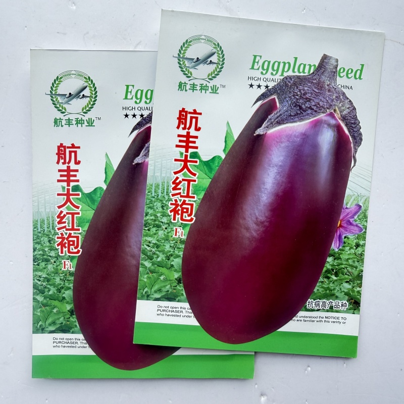 万吨紫玉紫圆茄种子大果灯泡茄椭圆形早熟高产特抗病大田基地