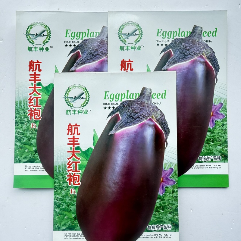 万吨紫玉紫圆茄种子大果灯泡茄椭圆形早熟高产特抗病大田基地