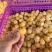 菇凉果灯笼果云南水果姑娘果云南特产口感独特价格实惠营养丰富