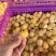菇凉果灯笼果云南水果姑娘果云南特产口感独特价格实惠营养丰富