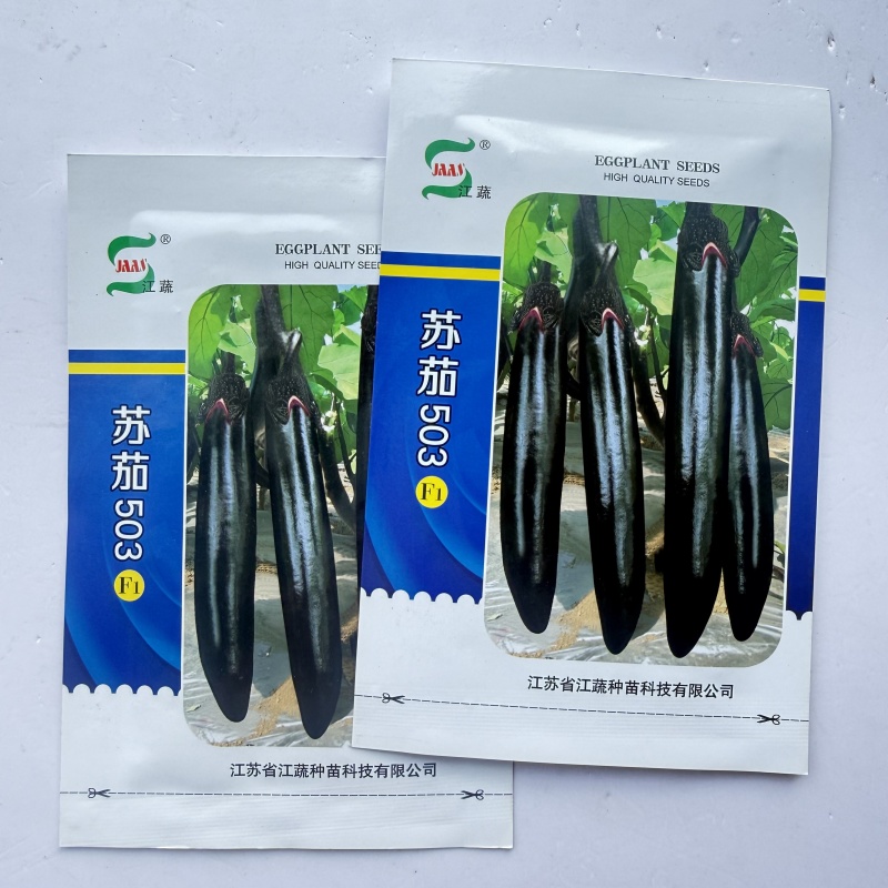 黑长茄种子杂交早熟高产长茄顺直肉白细嫩春秋播种长茄种大田