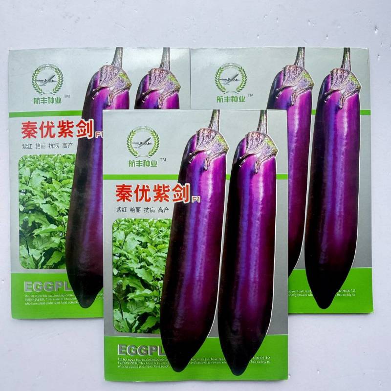 紫红长茄种子抗病高产春秋播种外皮光滑亮丽肉白绿色细嫩长茄