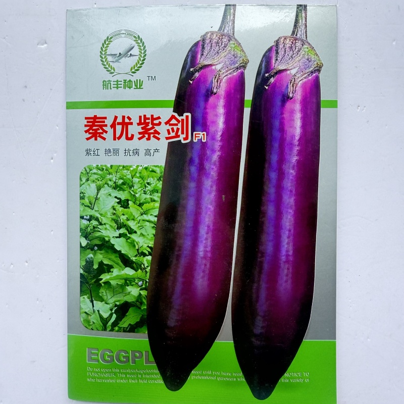 紫红长茄种子抗病高产春秋播种外皮光滑亮丽肉白绿色细嫩长茄