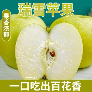 瑞雪苹果，精品货源，产地直发货源充足，欢迎各地老板来电