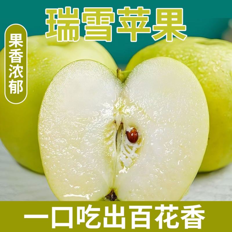 瑞雪苹果，精品货源，产地直发货源充足，欢迎各地老板来电
