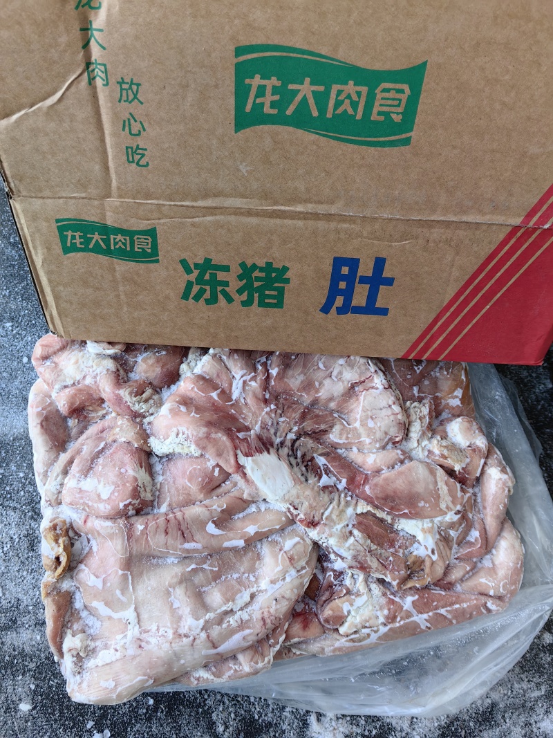 二级大肚