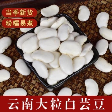 《云南白芸豆》白不老丶自家基地，价格公道，量大从优
