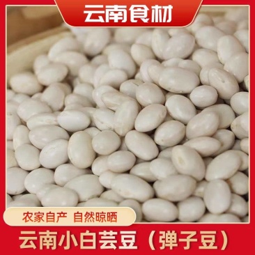 《云南白芸豆》九粒白芸豆丶自家基地，价格公道，量大从优