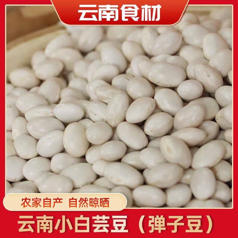 《云南白芸豆》九粒白芸豆丶自家基地，价格公道，量大从优