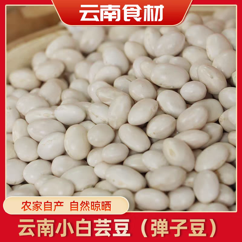 《云南白芸豆》九粒白芸豆丶自家基地，价格公道，量大从优