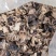 江西赣州特产原木毛木耳产地直发量大价优欢迎随时看货