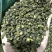 【包邮】四川青花椒特麻特香商用批发