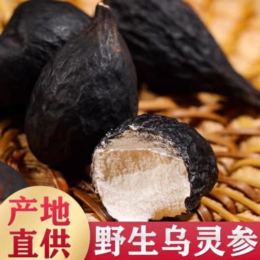 《乌灵参》云南野生乌灵参干货/产地货源/保质保量欢迎来电