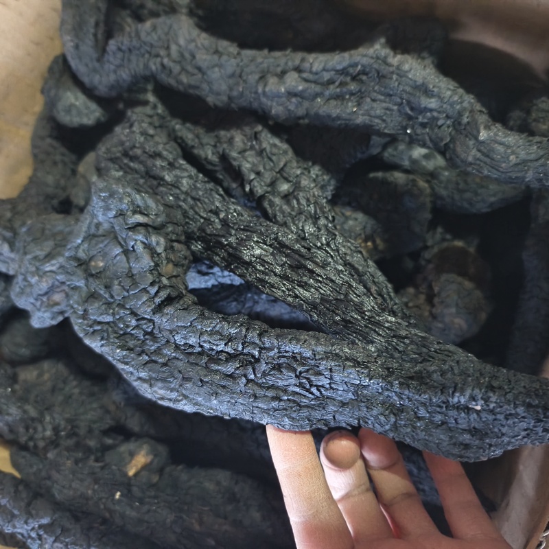 肉苁蓉个子，规格齐全硬大芸统货