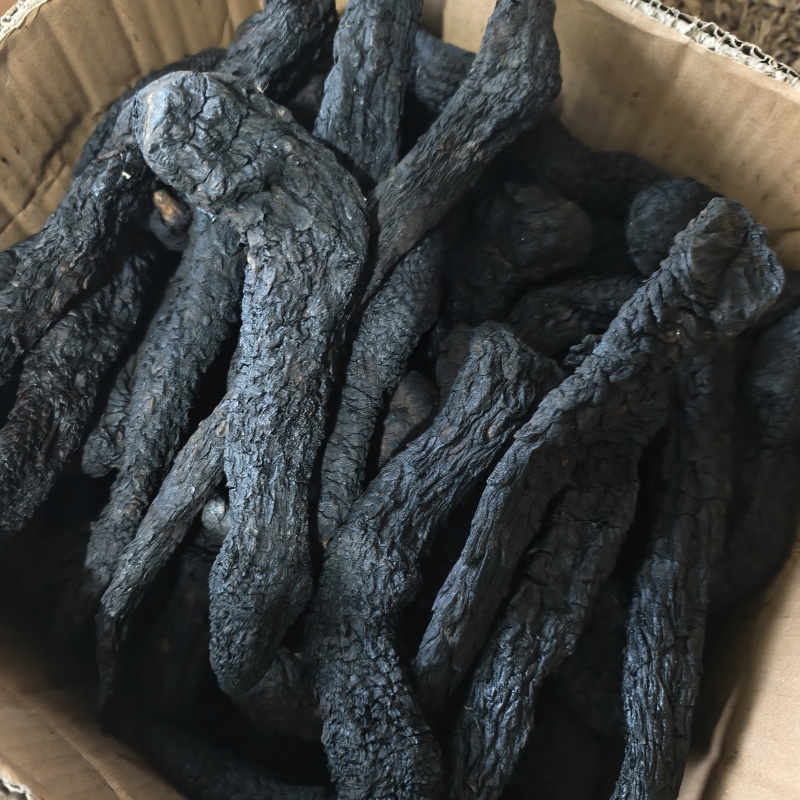 肉苁蓉肉苁蓉个软大芸产地新疆地道药材紫轩堂药业
