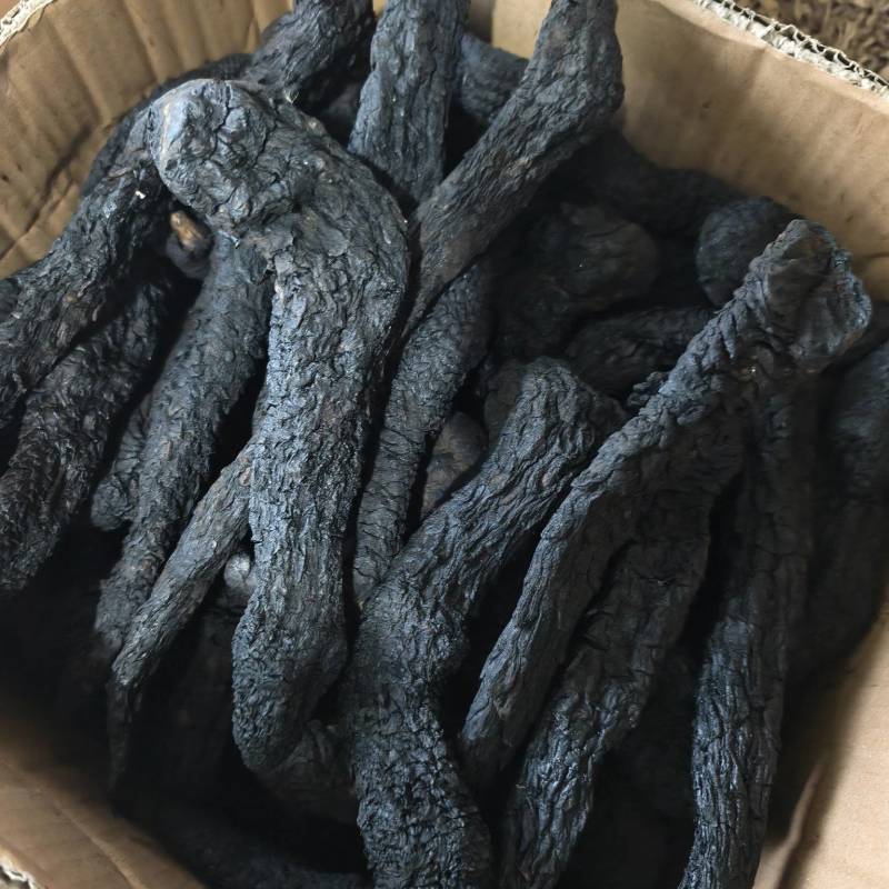 肉苁蓉个子，规格齐全硬大芸统货