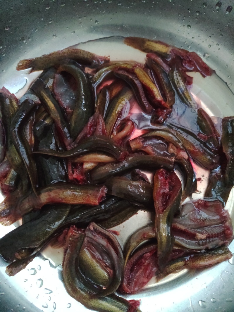 精品泥鳅