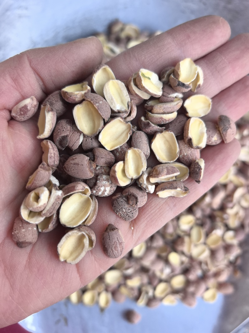 红莲子500克去芯红莲子两掰红莲子莲子红连子