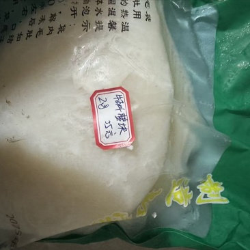 牛百叶，