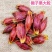 【包邮】山西精选大果水枙子食用卤菜上色天然色素调味香辛料