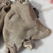 厂家批发国产清水煮全熟牛头肉，不注水不掺假现货发，可定